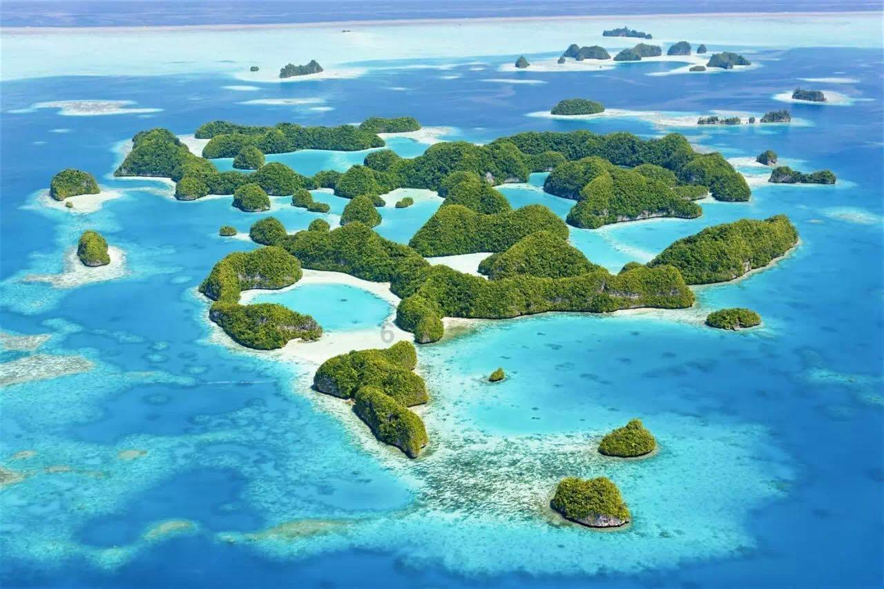 清理草坪