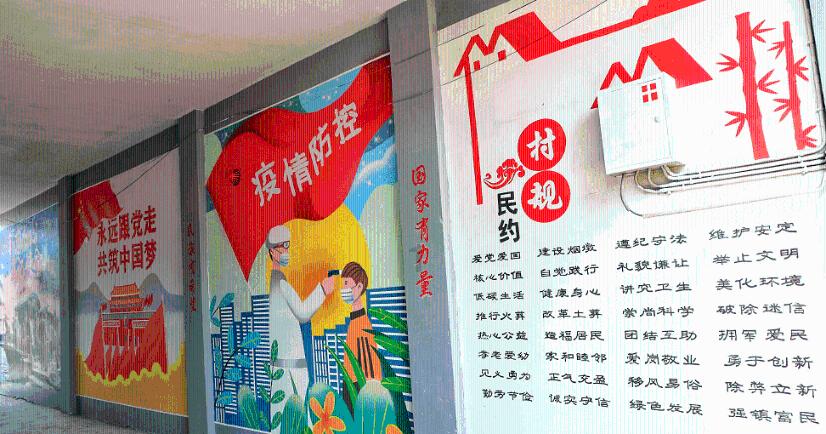 ST起步：公司不属于浙江省凤凰行动计划的对象